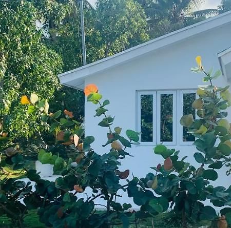 Hôtel The Cay House à Mangrove Cay Extérieur photo