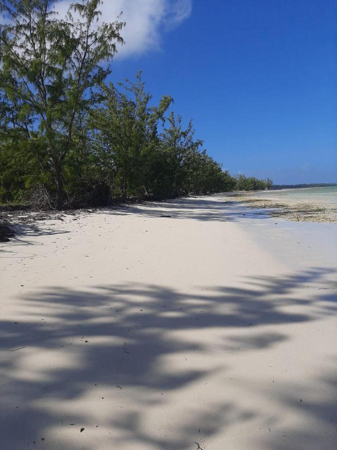 Hôtel The Cay House à Mangrove Cay Extérieur photo
